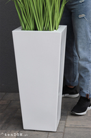 Delano New, kompozycja w białej donicy z trawami,wym.185cm