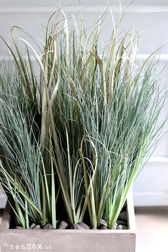 Concrete Square, wysokiej jakości sztuczna trawa w betonowej donicy, wys.100cm