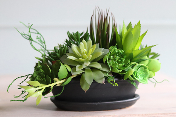 Haiko, kompozycja sukulenty w donicy z podstawkiem, wys.19cm
