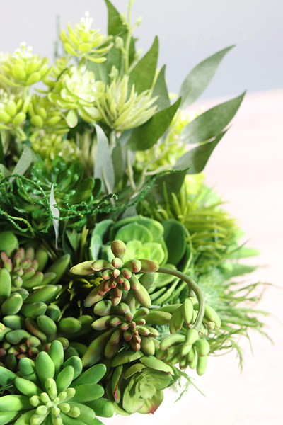 Gerrano 3, kompozycja sukulenty w białej misie, wym.27x30cm