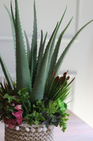 Boho Aloe Basket, kompozycja sukulenty w donicy - koszu, wys.51cm