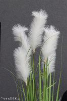 Delano New, kompozycja w białej donicy z trawami,wym.185cm