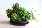 Haiko, kompozycja sukulenty w donicy z podstawkiem, wys.19cm