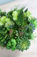 Gerrano 3, kompozycja sukulenty w białej misie, wym.27x30cm