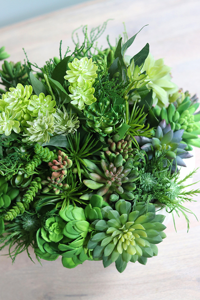 Gerrano 3, kompozycja sukulenty w białej misie, wym.27x30cm 