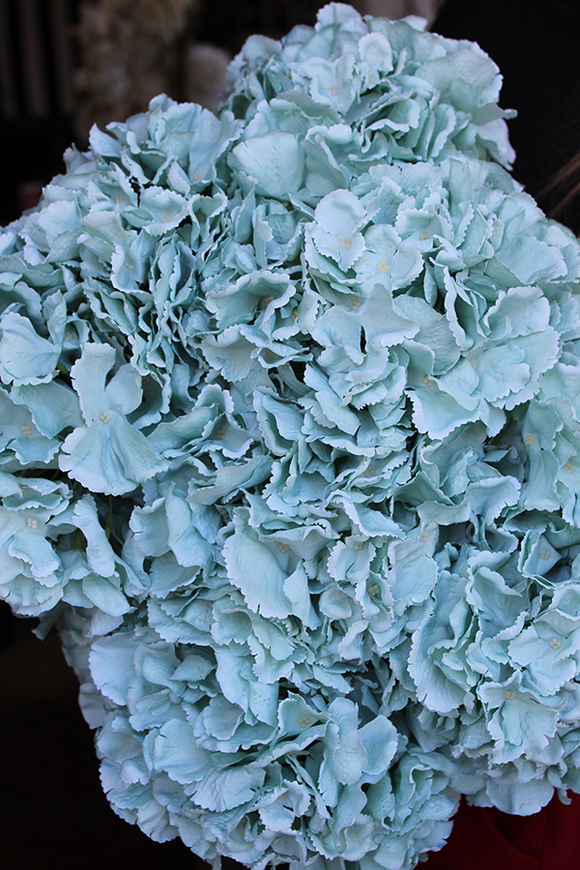 bukiet niebieskich hortensji Horton 10szt., wys.50cm