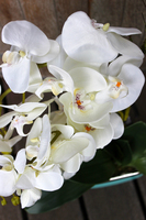 sztuczny storczyk Turkus, wys.60cm