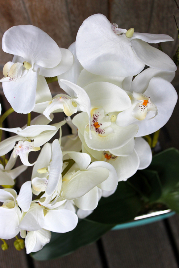 sztuczny storczyk Turkus, wys.60cm