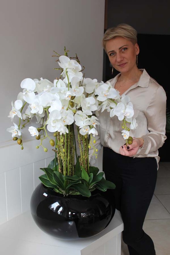 bardzo duży storczyk Grande Belezza, wys.100cm 