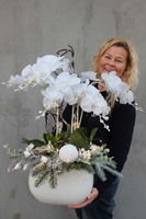 Glamour Winter, zimowy storczyk w białej eleganckiej donicy, wys.64cm