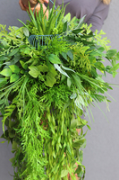 Firesa, zielona kompozycja wisząca, wys.90cm  
