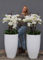 bardzo duży gumowy storczyk Grande Silicone, wys.135cm