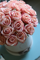 Benita, flowerbox różany z szarą aksamitką, wys.38cm 