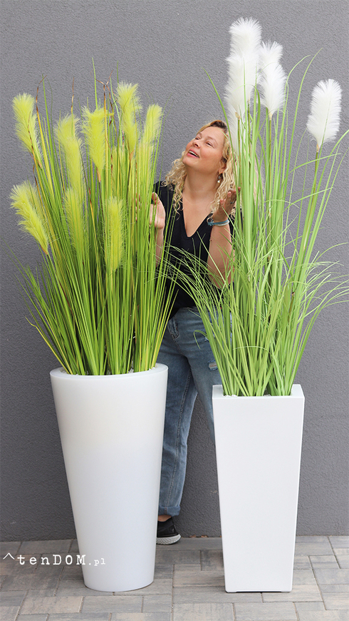 Delano New, kompozycja w białej donicy z trawami,wym.185cm
