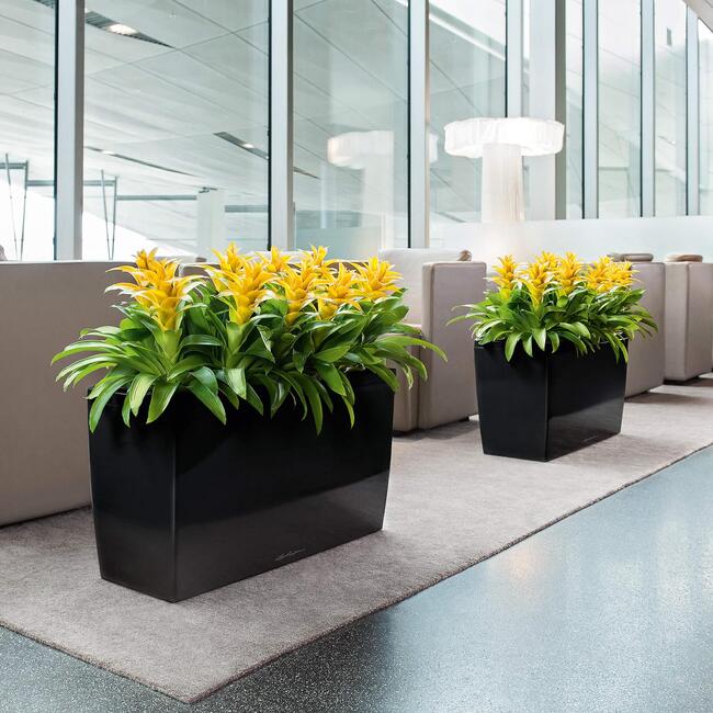 donica na kółkach z nawadnianiem, Cararo, czarna, wym.43x75x30cm