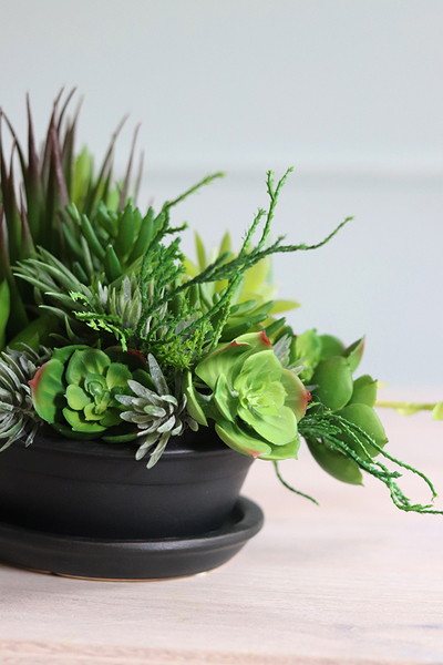 Haiko, kompozycja sukulenty w donicy z podstawkiem, wys.19cm