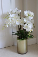 gumowy Gold House, storczyk w szklanym naczyniu wys.72cm