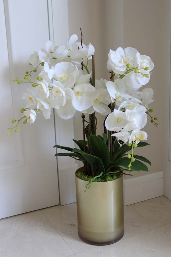 gumowy Gold House, storczyk w szklanym naczyniu wys.72cm