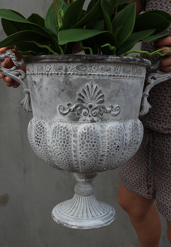 bardzo duży storczyk Leostro w metalowym pucharze, wys.98cm 