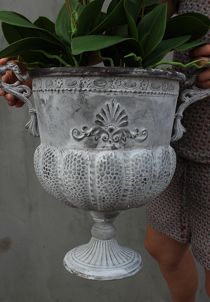 bardzo duży storczyk Leostro w metalowym pucharze, wys.98cm 