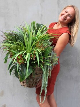 Dellana, kosz z sukulentami i trawami, wys.75cm 