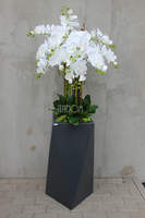 Nevis Antracyt Grande storczyk w nowoczesnej donicy, wys.160cm 