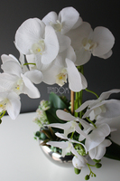 Kayoko storczyk z sukulentami w srebnej donicy, wys.55cm