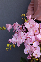 bardzo duży storczyk Madleine w antracytowej donicy, wys.120cm 