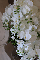 Luksus Kaskada, spływający storczyk w metalowej donicy, wys.70cm 