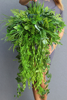 Firesa, zielona kompozycja wisząca, wys.90cm  