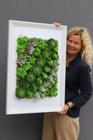 atrakcyjna jednostronna rama Sukulenty Hotels Rowena, wym.77x57cm 