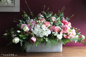 Daglessa, kompozycja kwiatowa w betonowej donicy, wym.50x110cm