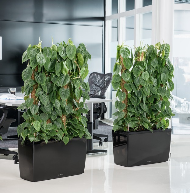 donica na kółkach z nawadnianiem, Cararo, czarna, wym.43x75x30cm