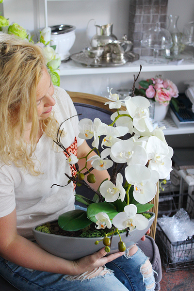 storczyk Laos w ceramicznej, szarej donicy, wys.56cm