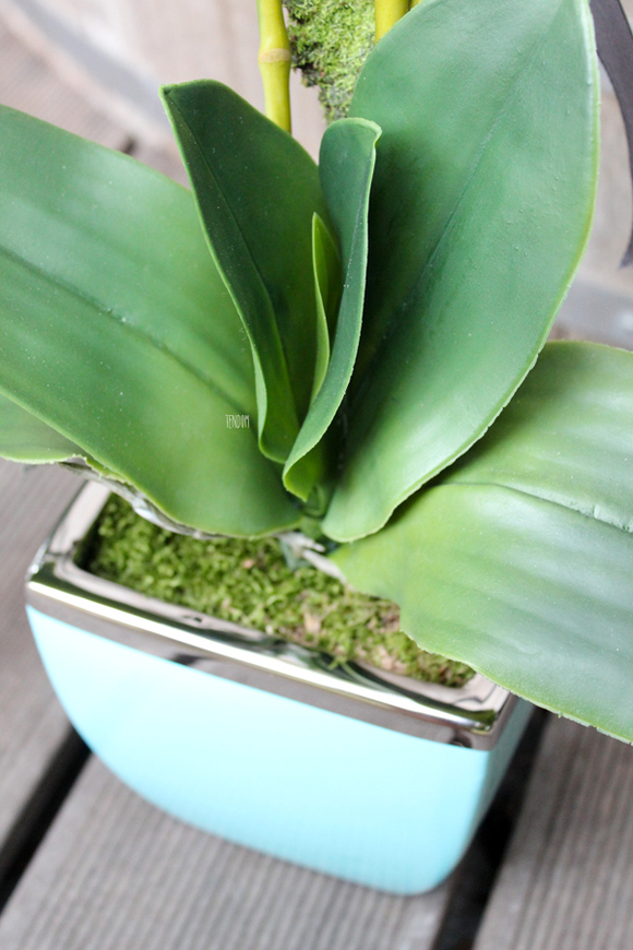 sztuczny storczyk Turkus, wys.60cm