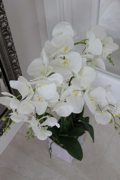 Burano gumowy storczyk w oryginalnej ceramicznej donicy, wys.77cm 