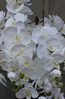 Nevis Antracyt Grande storczyk w nowoczesnej donicy, wys.160cm 