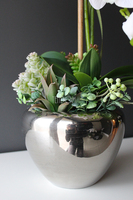 Kayoko storczyk z sukulentami w srebnej donicy, wys.55cm