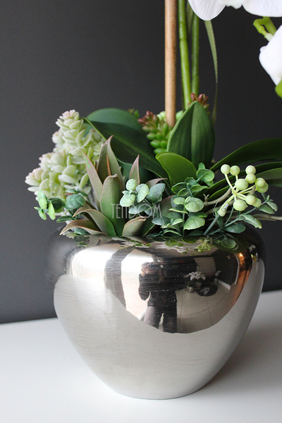 Kayoko storczyk z sukulentami w srebnej donicy, wys.55cm