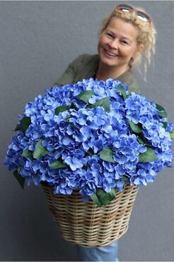 bardzo bogaty kosz hortensji, Blue Velina, wym.48x50cm 