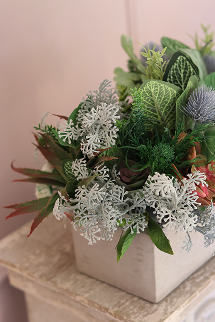 Renatta, piękna kompozycja Sukulenty w betonowej donicy, wys.28cm