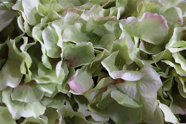 gęsty wianek na drzwi, Zielona Hortensja New 2, śr.40cm 