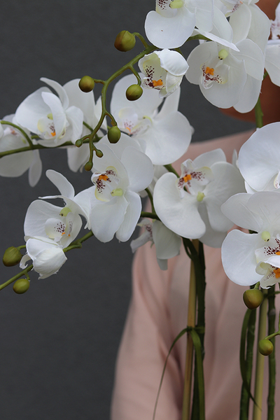 sztuczny storczyk Manfredo w szarej, matowej donicy, wys.72cm