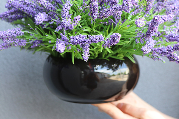 kompozycja w połyskującej czarnej donicy, Wrzośce Fiolet, wys.24x38cm