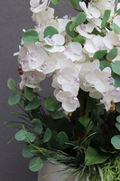 Fiberglass Grande Eucalipto, efektowny storczyk w białej donicy z fiberglass, wys. 158cm