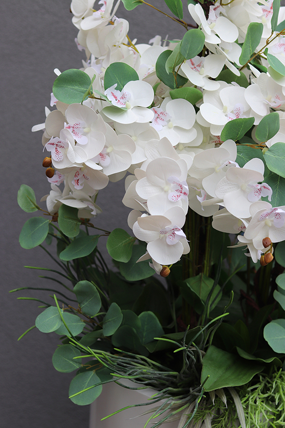Fiberglass Grande Eucalipto, efektowny storczyk w białej donicy z fiberglass, wys. 158cm