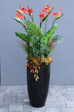 egzotyczna kompozycja, Strelicja Fiberglass Grande Red, wym.160cm