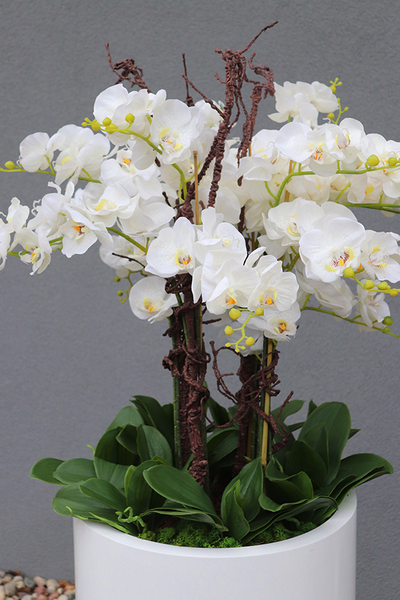 bardzo duży gumowy storczyk Grande Silicone, wys.135cm