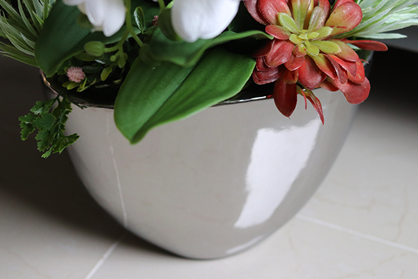 Cinderella Sukulentas, storczyk w srebrnej donicy, wys.56cm 