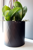 komplet - 3 szt. sztucznych storczyków Black Dreams, wys. 87, 72 i 69cm 